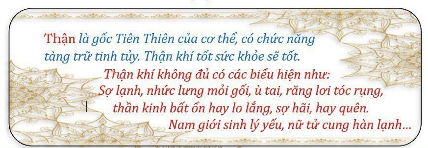 Dưỡng sinh bảo dưỡng Thận